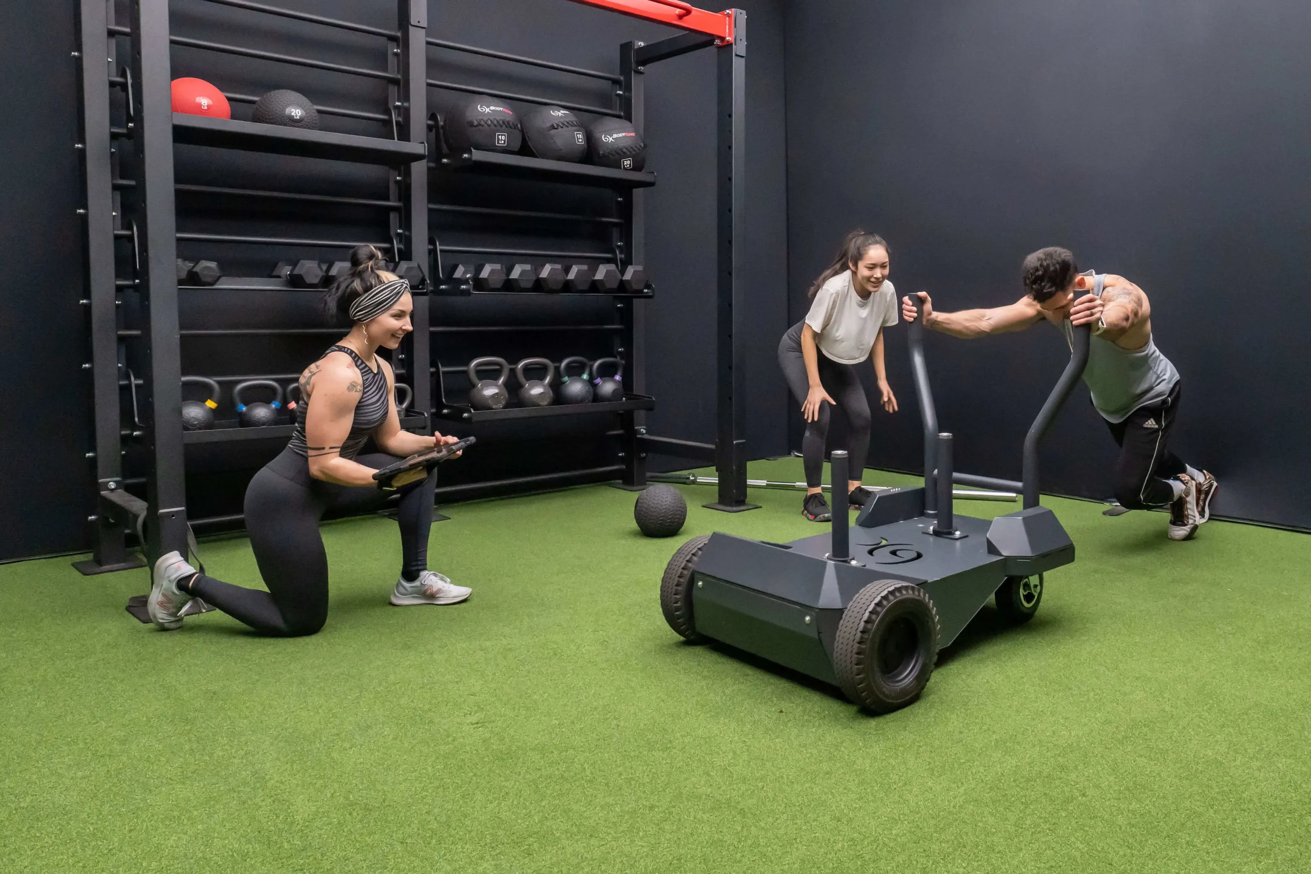Smart Sled Pro - Image 10