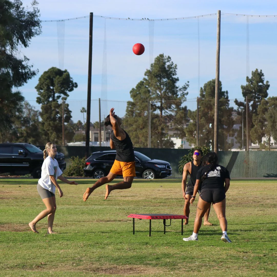 BoardBall - Image 3